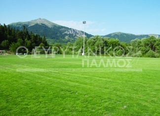 Από τρωκτικά κινδυνεύουν τα γήπεδα του Καρπενησίου