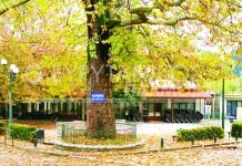 Προς εκμίσθωση ο δημοτικός ξενώνας στην Δομνίστα