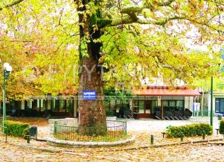 Προς εκμίσθωση ο δημοτικός ξενώνας στην Δομνίστα