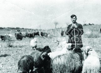 Από τη σύνταξη… Μέρμηγκα δεν ζήμιωσα και άνθρωπο δεν θύμωσα…