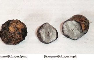 Χρονογραφήματα