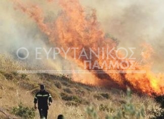 Με διαγωνισμό η μίσθωση μηχανημάτων για την αντιπυρική προστασία του Δήμου Καρπενησίου