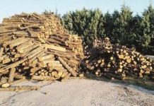 Άρχισε η διανομή καυσόξυλων από το Δασαρχείο Καρπενησίου