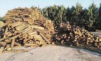 Άρχισε η διανομή καυσόξυλων από το Δασαρχείο Καρπενησίου