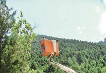 Σε ιδιώτες το «Κλάδεμα Επικίνδυνων Δένδρων » στο Δήμο Καρπενησίου