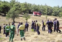 Ξεκίνησαν οι αιτήσεις για 5.066 προσλήψεις στα δασαρχεία