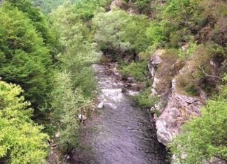 5 Ιουνίου Παγκόσμια Ημέρα Περιβάλλοντος – Τα Παρόχθια Δάση κινδυνεύουν…….