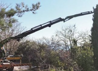Με απευθείας ανάθεση το κλάδεμα επικίνδυνων δένδρων αποφάσισε ο Δήμος Αγράφων