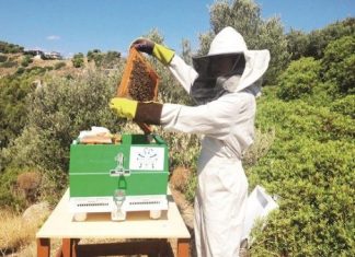 Ταχύρυθμο Πρόγραμμα για επαγγελματίες Μελισσοκόμους στο Καρπενήσι