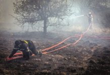 Όλοι οι άντρες και οι γυναίκες που υπηρετούν την Ευρυτανία από την Υπηρεσία του ΕΚΑΒ και της Πυροσβεστικής
