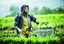 Παράταση πήρε το πρόγραμμα “Στήριξη για επενδύσεις σε γεωργικές εκμεταλλεύσεις”.