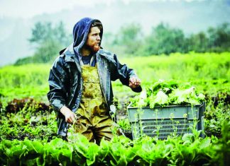 Παράταση πήρε το πρόγραμμα “Στήριξη για επενδύσεις σε γεωργικές εκμεταλλεύσεις”.