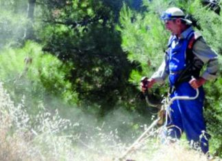 Παρατείνει τις συμβάσεις εποχικού προσωπικού ο Δήμος Αγράφων.