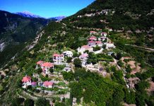 1ο Φεστιβάλ Τρύγου στη Χελιδόνα Ευρυτανίας