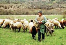 Εντός 30 ημερών θα πρέπει να προσέλθουν οι Ευρυτάνες κτηνοτρόφοι για να ενημερωθούν για τους βοσκοτόπους της Ενιαίας Αίτησης Ενίσχυσης 2018