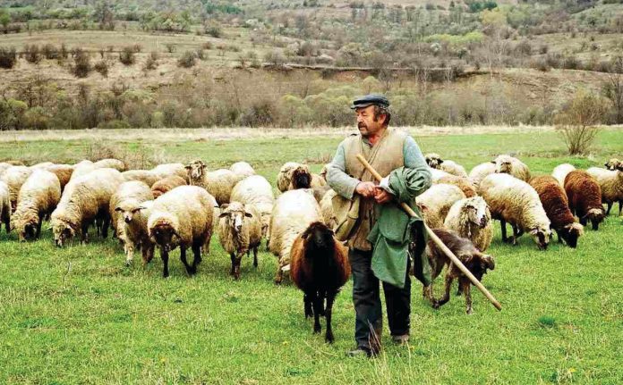 Ενημέρωση κτηνοτρόφων για την ισχύουσα κατανομή επιλέξιμων