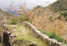 Υπό κατάρρευση το ιστορικό γεφύρι της Κατούνας