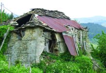 Χρονογραφήματα