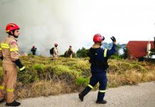 Επεκτείνεται το πρόγραμμα κοινωφελούς εργασίας για την αντιπυρική προστασία των δασικών οικοσυστημάτων της χώρας