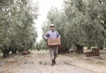 6,77 εκατ. ευρώ θα δοθούν στη Στερεά για την ενίσχυση μικρών γεωργικών εκμεταλλεύσεων