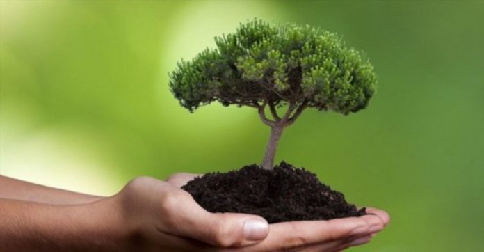 Παγκόσμια-Ημέρα-Δασοπονίας