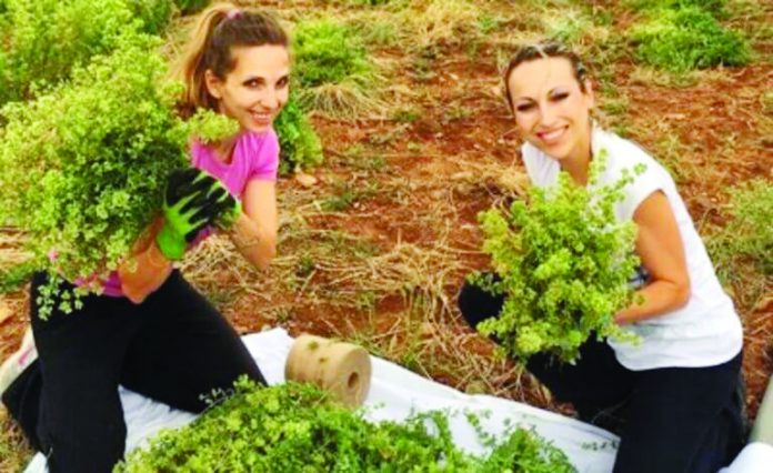 ΤΟ ΚΑΛΟ ΠΑΡΑΔΕΙΓΜΑ