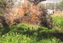 Ορίστηκαν τα χρονικά όρια απαγόρευσης καύσης από την Πυροσβεστική