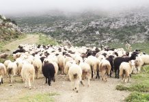 Έρχεται η νέα προκήρυξη για την Εξισωτική Αποζημίωση