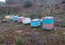 Κλάπηκαν μελίσσια Ευρυτάνα στην Κατοχή Αιτωλοακαρνανίας