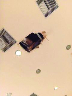 59548647_10155854438627136_3814631944755347456_n