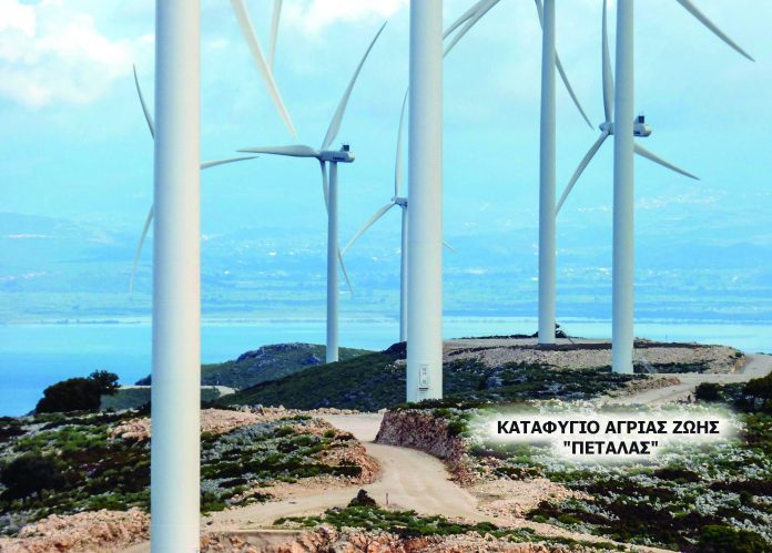 ΕΝΤΟΣ ΕΚΤΟΣ-ΕΞΑΠΑΤΗΜΕΝΟΙ