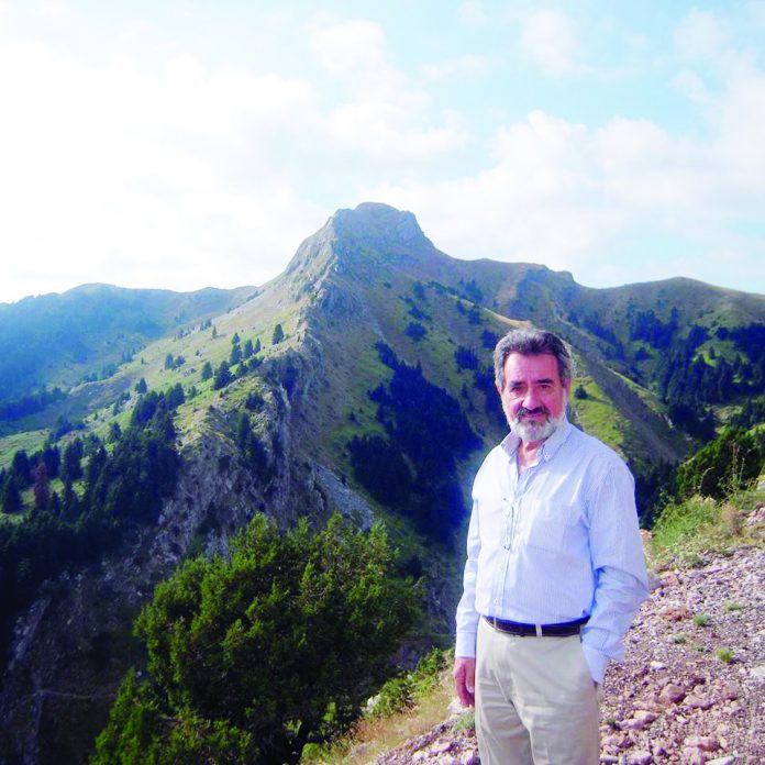 ΧΟΡΗΓΟΥΜΕΝΗ-ΚΑΤΣΙΦΟΣ