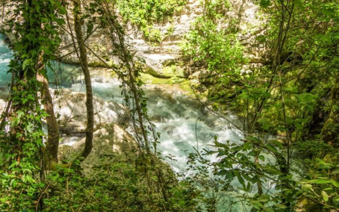 970061a8a3075e3256c53180a0cab7d6_XL