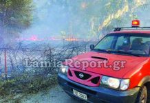 Συνέλαβαν τους εμπρηστές που ήθελαν να κάψουν τη Στερεά