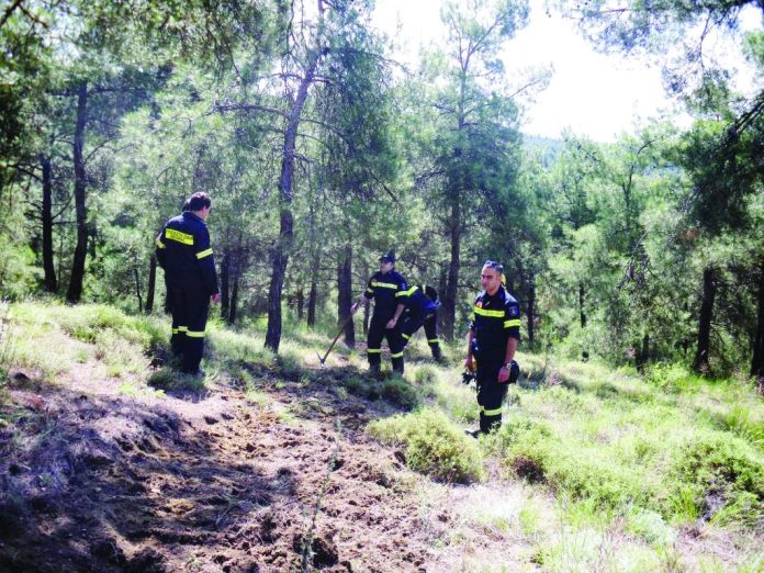 Σε εφαρμογή το Πρόγραμμα Δασοπροστασίας 2019 Ν
