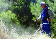 Προσλαμβάνει ένα άτομο για τρεις μήνες ο Δήμος Καρπενησίου