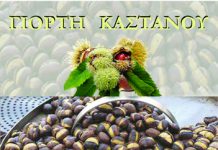 Γιορτή Κάστανου στην Αγία Τριάδα