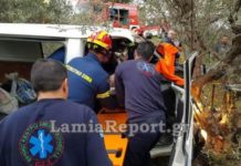 Λαμία: «Πέταξε» και καρφώθηκε στην ελιά – Εγκλωβίστηκε ο οδηγός – ΦΩΤΟ