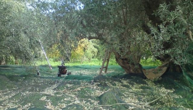 828e3c5afc920ca09d0eba7505edf87b_L