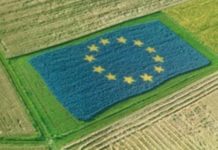 Ημερίδα για την Κοινή Αγροτική Πολιτική της προγραμματικής περιόδου 2021 – 2027 στη Λαμία