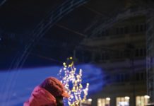 Φυσικό έλατο 17 μέτρων δω- ρεά από το Καρπενήσι θα στολίσει ο Μπακογιάννης στο Σύνταγμα
