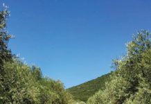 Παρατείνεται η συντήρηση αγροτικής οδοποιίας στις Δ.Ε. Βίνιανης, Φραγκίστας, Ασπροποτάμου και Απεραντίων
