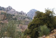 Παραλίγο τραγωδία για το Δήμαρχο Αγράφων κοντά στα Κέδρα Ευρυτανίας
