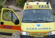 Φθιώτιδα: Νεκρός 62χρονος άνδρας από δέντρο που τον καταπλάκωσε
