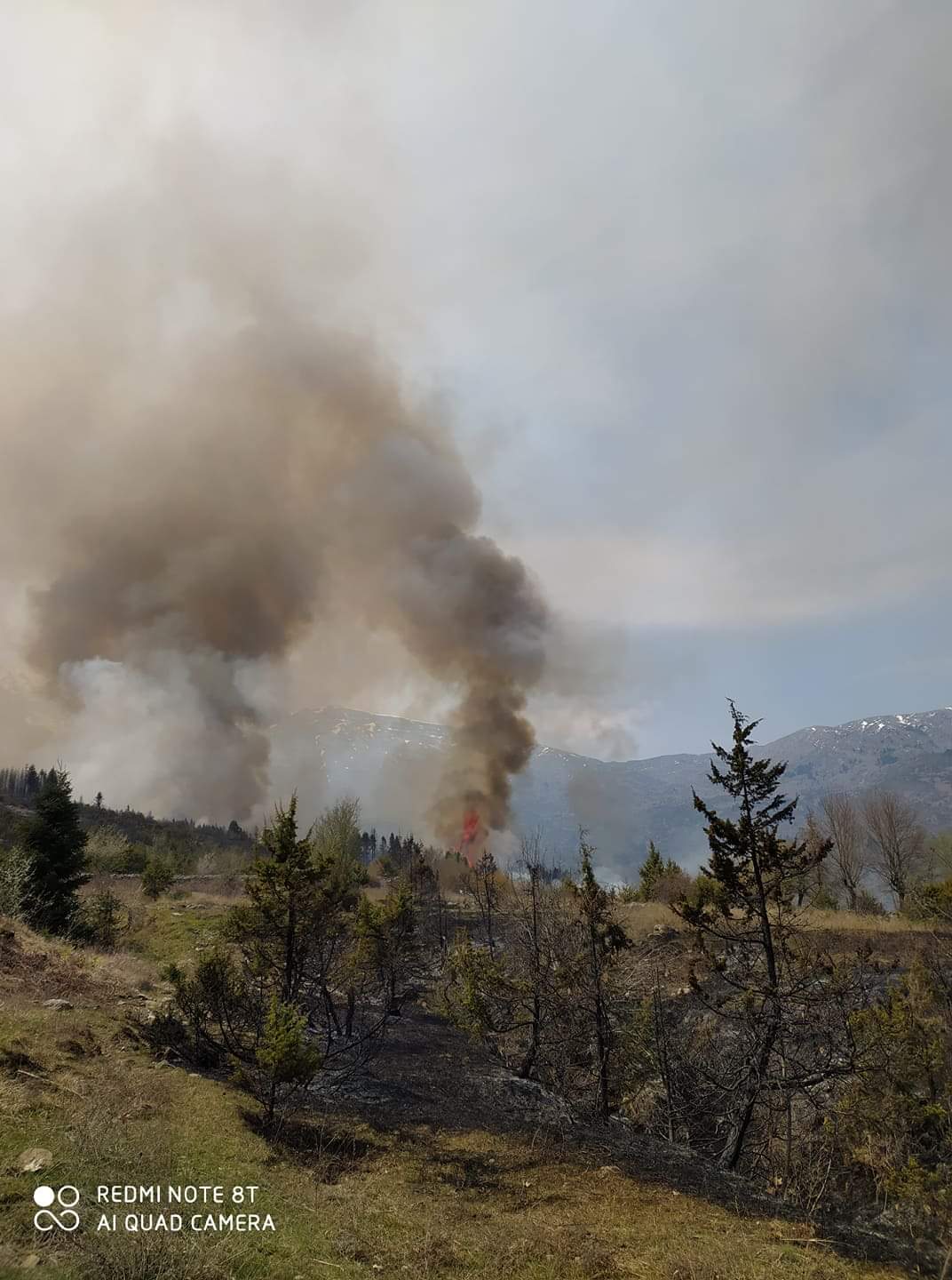 received_890498331392433