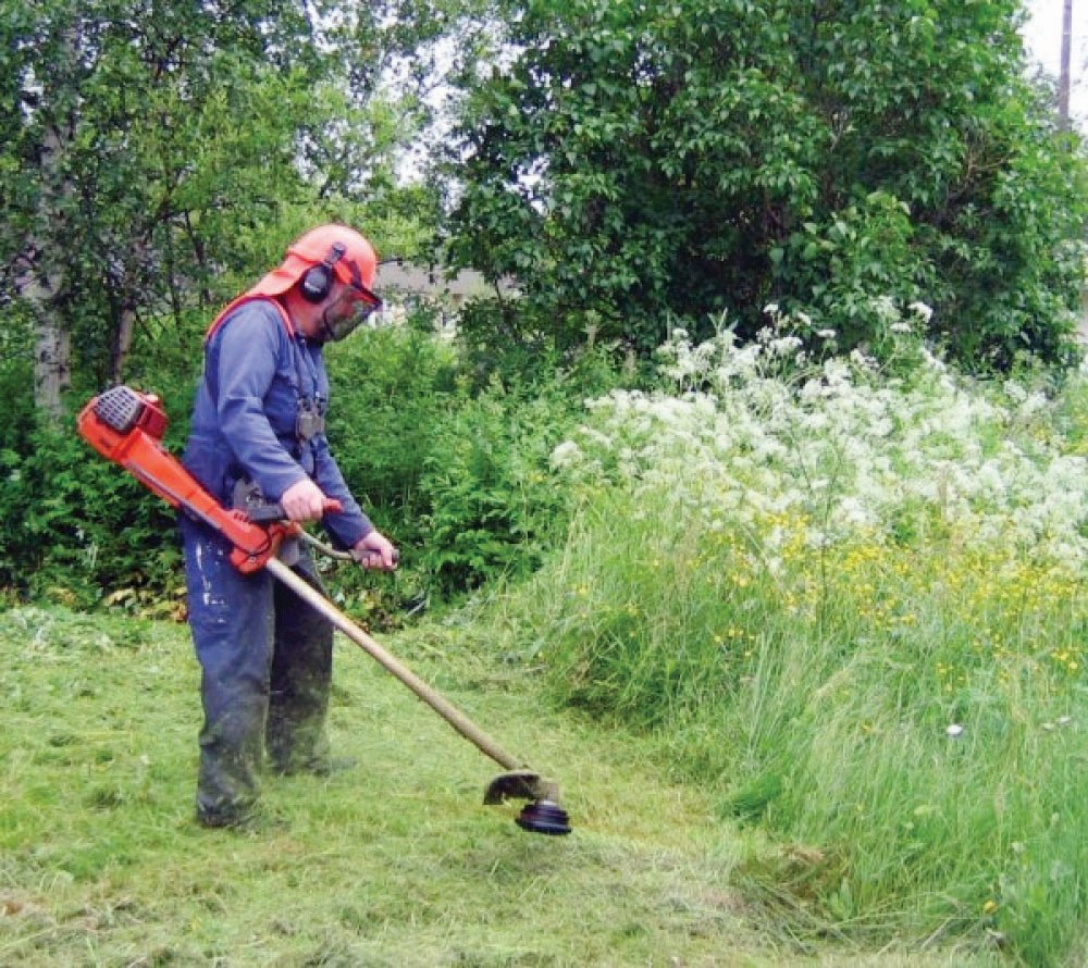 καθαρισμος οικοπεδων