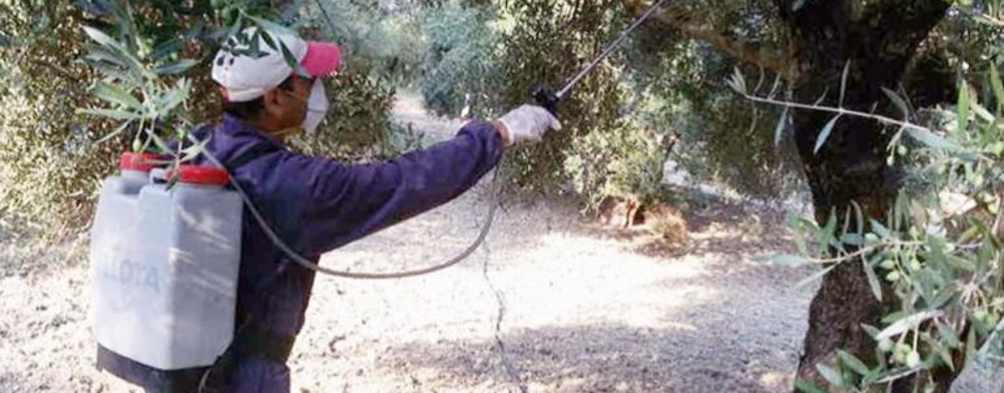 τηλεδιασκεψη δακοκτονια