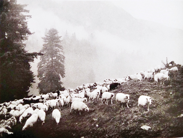 ΜΠΟΥΜΠΟΥΡΗΣ 922