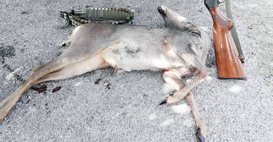 Συνελήφθη...