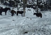 Υποβολή αιτήσεων για ζημιές από το ακραίο καιρικό φαινόμενο «Μήδεια»